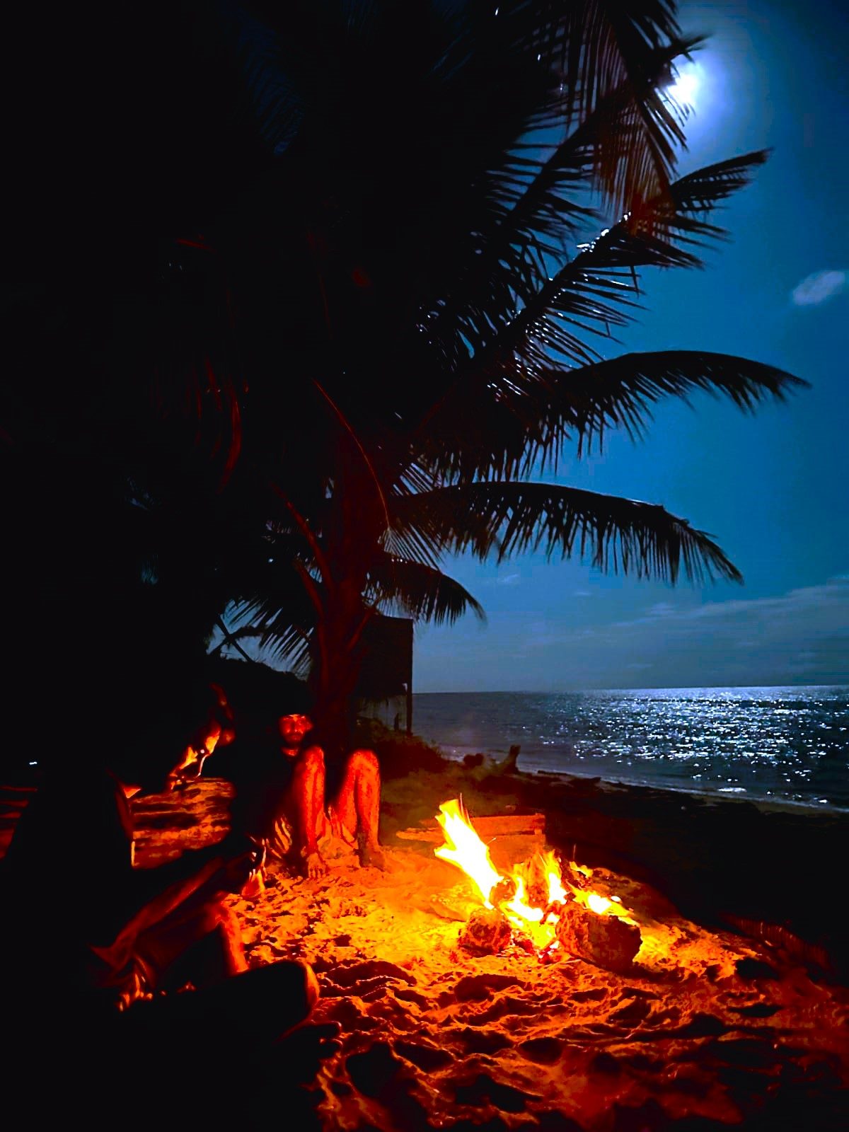 Bonfire on the beach at Pronoia under a full moon